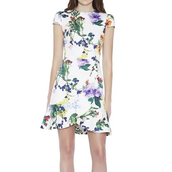 NWT Alice And Olivia Kirby Wildflower Ruffle Floral Dress New with Tags size 4 - Picture 2 of 7